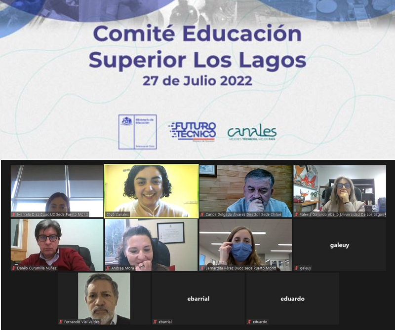 Comité de Educación Superior en Los Lagos